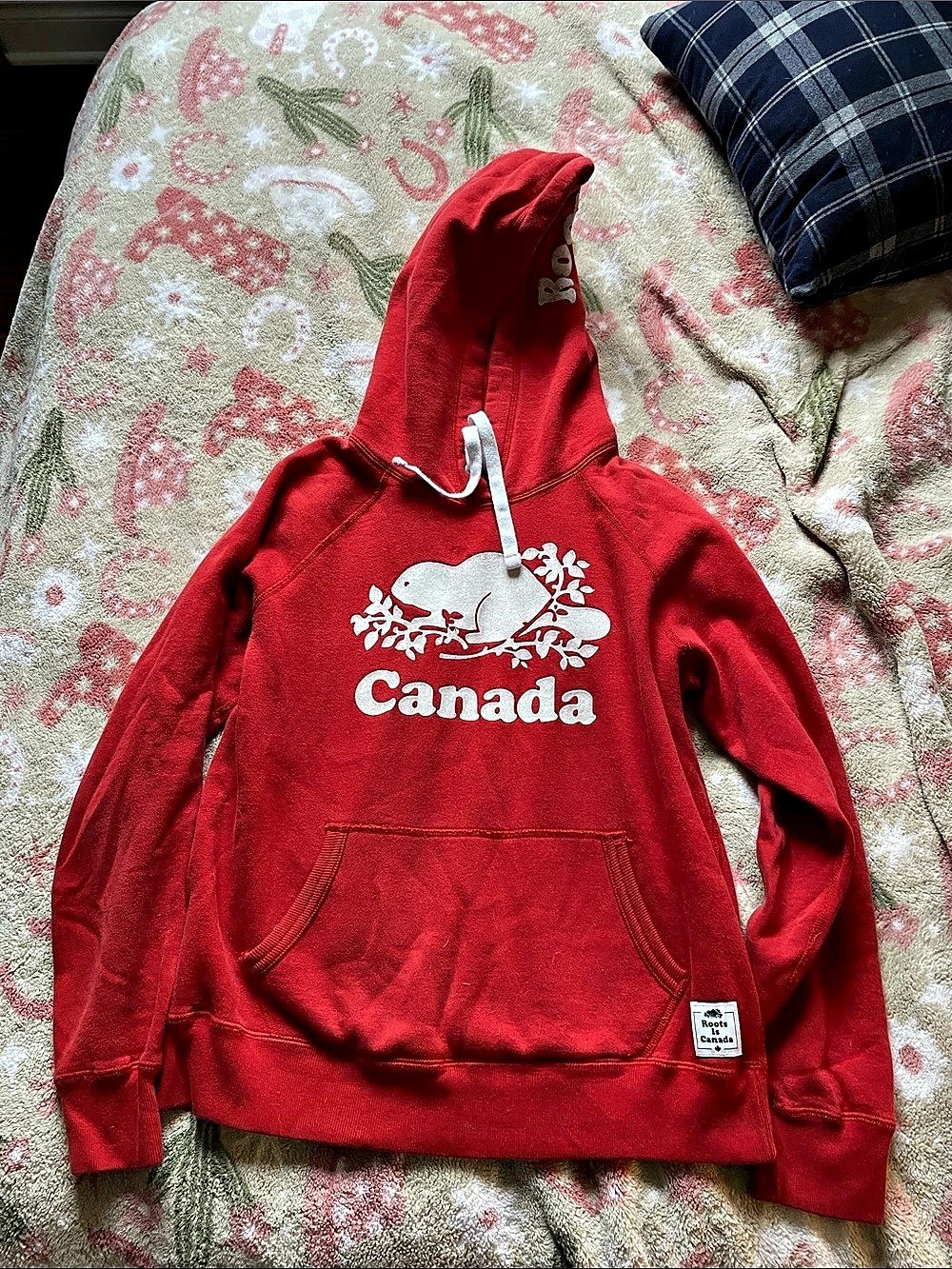Roots Canada Graphic Hoodie